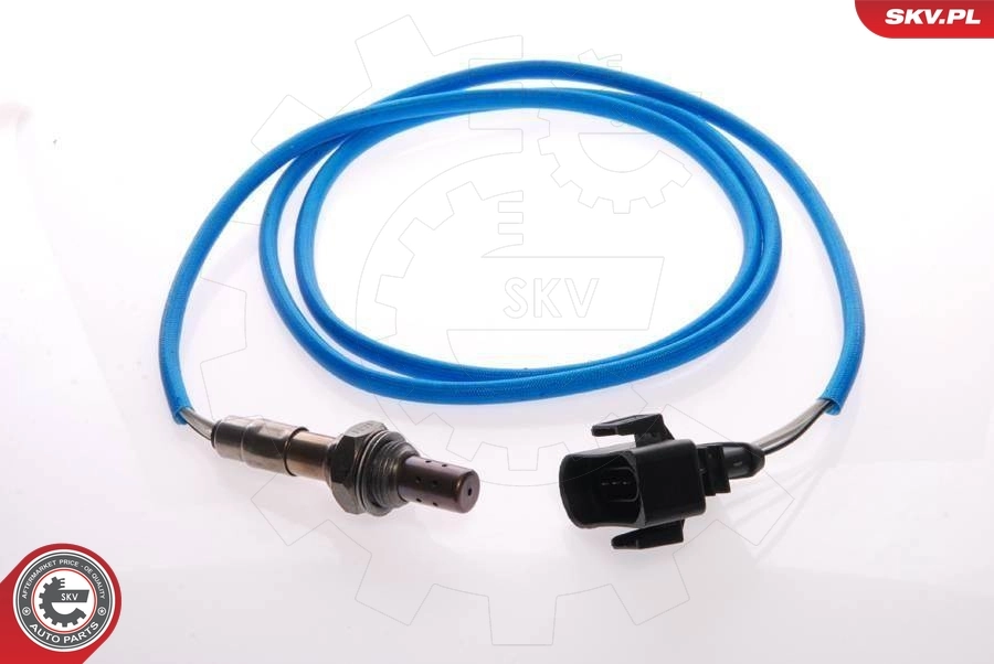 Oxygen Sensor